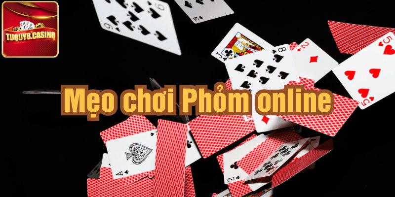 Các thuật ngữ trong bài phỏm TuQuy8
