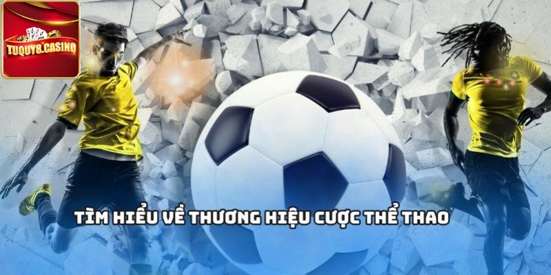 Có thành tích nổi bật khi vào cược thể thao TuQuy8