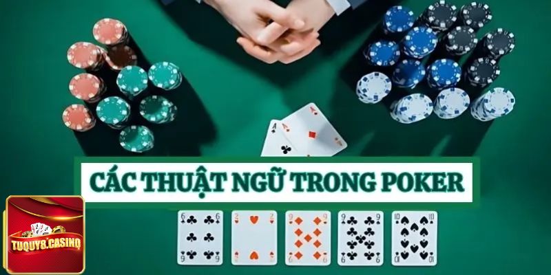 Thuật ngữ trong poker về các vị trí được quy định trong trò chơi