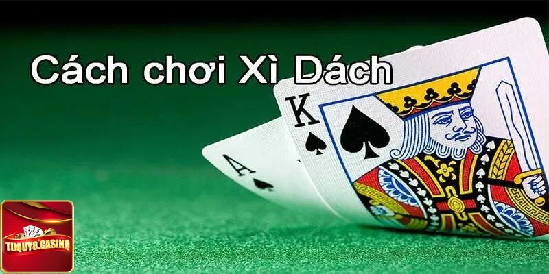 Tổng hợp những kinh nghiệm chơi Xì dách TuQuy8 cho người mới