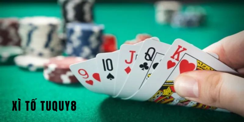 Khám phá những thông tin thú vị về Xì Tố TuQuy8